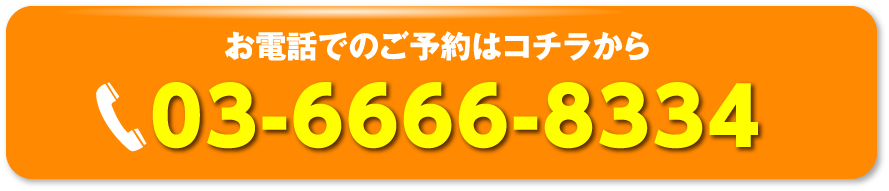お問い合わせ先:03-6666-8334
